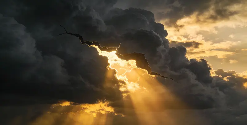 贺州肺癌8基因突变检测（组织）图片1