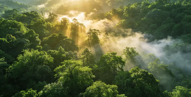 贺州肺癌靶向120基因检测（组织）图片1